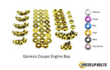 Hyundai Genesis Coupe (2009-2016) BK Titanium Full Engine Bay Kit