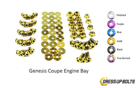 Hyundai Genesis Coupe (2009-2016) BK Titanium Full Engine Bay Kit