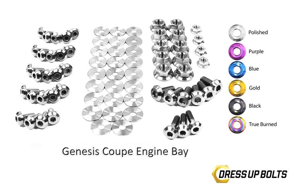 Hyundai Genesis Coupe (2009-2016) BK Titanium Dress Up Bolts Full Engine Bay Kit