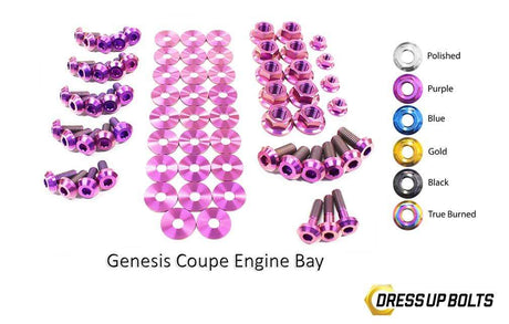 Hyundai Genesis Coupe (2009-2016) BK Titanium Full Engine Bay Kit