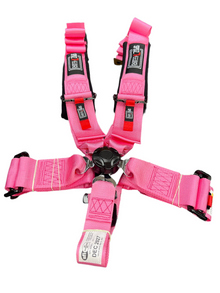 SPDZ1 SFI Seat Belt Harness 5 Point Cam Lock