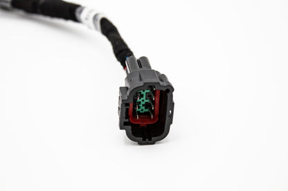 SPDZ1 RB25DET Series 2 Coil Pack Harness - OEM SERIES