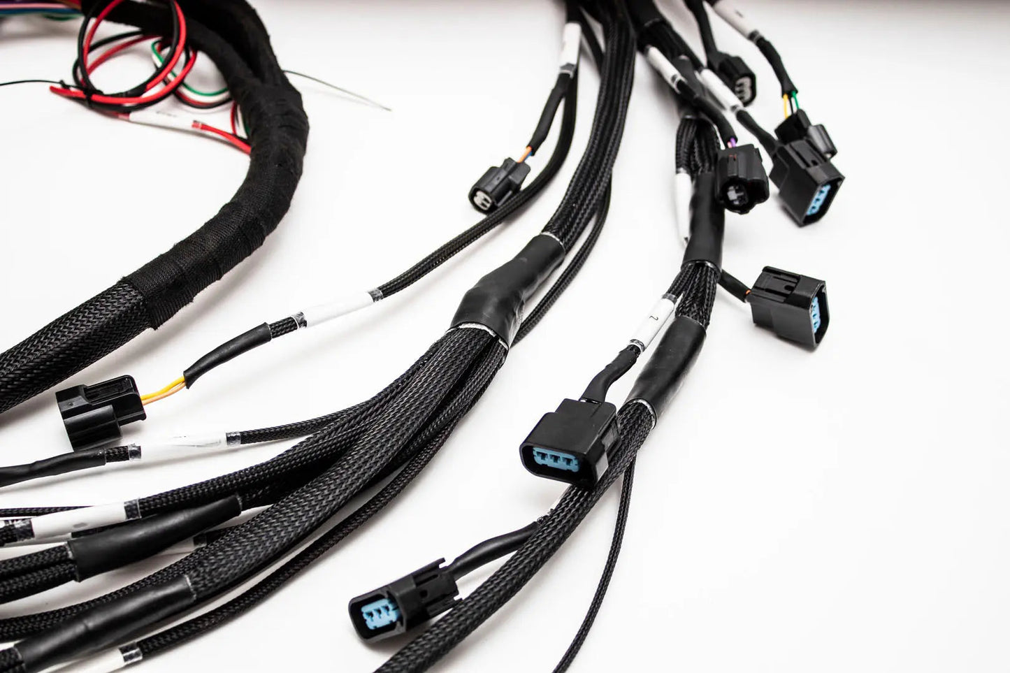 K20 K24 05-06 RSX K-Series Tucked Swap Engine Harness RHD, RWD and LHD | Acura | Honda |