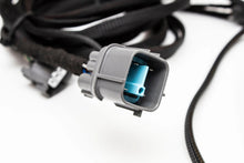 K20 K24 K Series K Swap Conversion Wiring Harness for ECU | OBD2B 99-01 Honda Civic