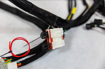 K20 K24 K-Series Tucked Swap Engine Harness | Acura | Honda |