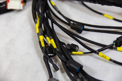 K20 K24 K-Series Tucked Swap Engine Harness | Acura | Honda |