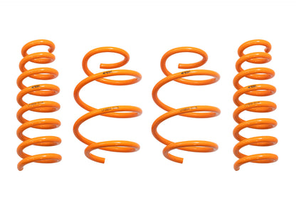 2018-2024 Kia Stinger GT-F Lowering Springs