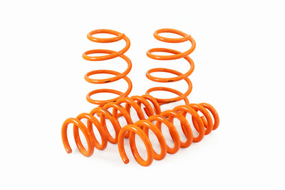 2022+ Kia EV6 AWD / Hyundai IONIQ 5 AWD GT-F Lowering Springs