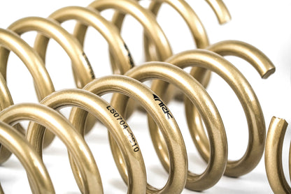 2009-2013 Hyundai Genesis Sedan GT-S Lowering Springs