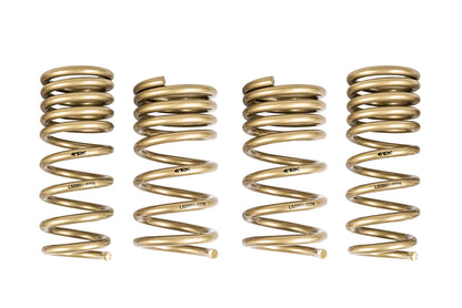 2009-2020 Nissan 370Z GT-S Lowering Springs