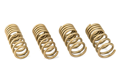 2009-2020 Nissan 370Z GT-S Lowering Springs
