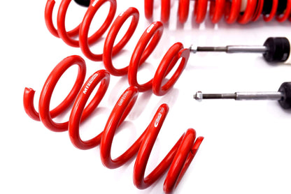 MTS Technik Stance Series Coilovers for 1994-2002 Audi A8 (4D2/4D8)