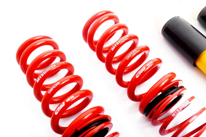MTS Technik Stance Series Coilover Kit for 1995-2009 BMW 328xi (E91)