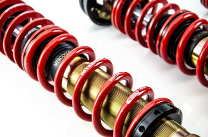 MTS Technik Street Series Suspension Coilover Kit for 1995-2009 Volkswagen Derby (6N)