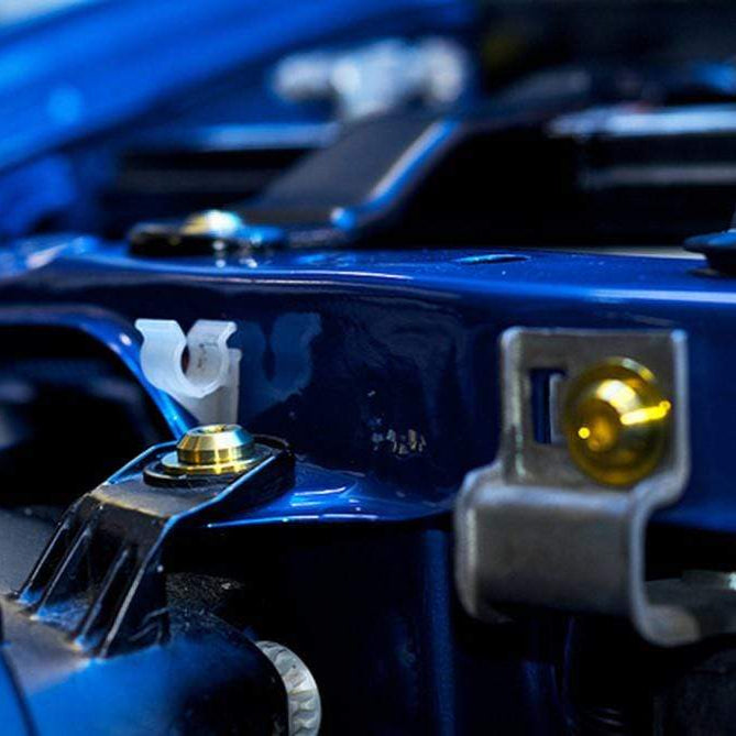 Nissan Skyline R34 (1998-2002) Titanium Engine Bay Kit