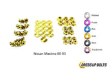 Nissan Maxima (2000-2003) Titanium Dress Up Bolts Engine Bay Kit