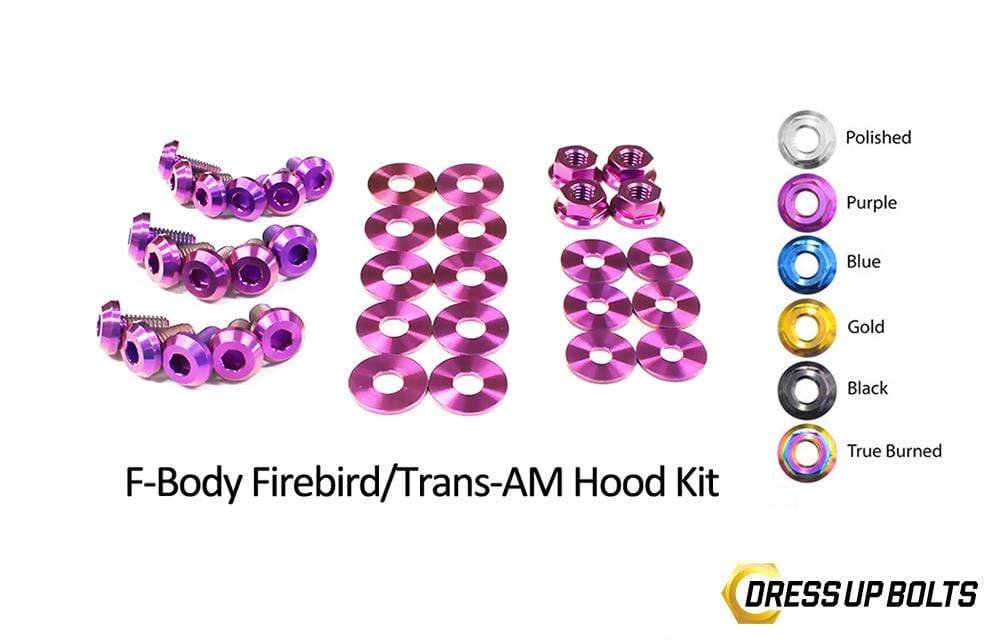 Pontiac Firebird/Trans Am (1998-2002) F-Body Titanium Hood Kit