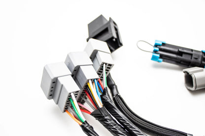 Plug & Play Jumper Harness for AEM Infinity 506 508 6 8H ECUs | 30-3501