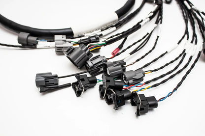 D & B-Series OBD1 Tucked Engine Harness Kit w/ Subharness | 96-99 Acura Integra DC