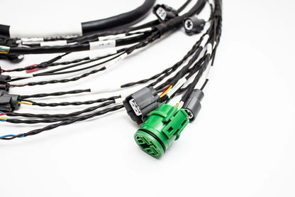 D & B-Series OBD1 Tucked Engine Harness Kit w/ Subharness | 96-99 Acura Integra DC