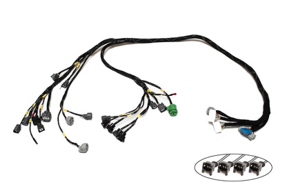 D & B-Series OBD1 Tucked Engine Harness Kit w/ Subharness | 99-01 Civic EK