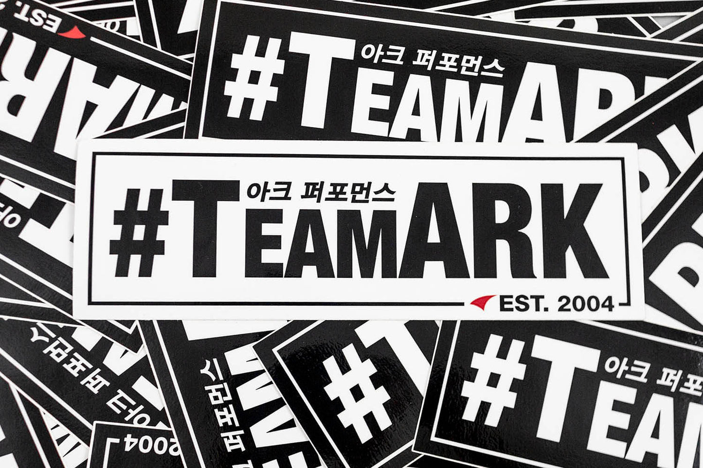 ARK Performance "TEAM ARK" Slap Sticker