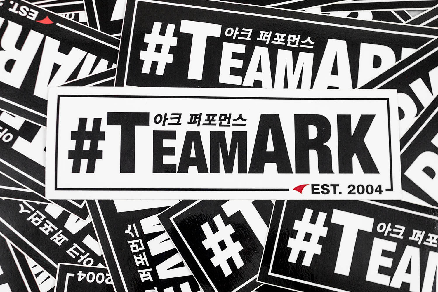 ARK Performance "TEAM ARK" Slap Sticker