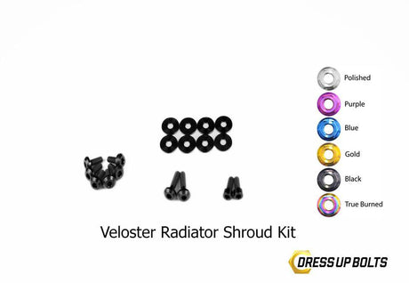 Titanium Hardware Radiator Shroud Kit - Hyundai Veloster (2012-2018)