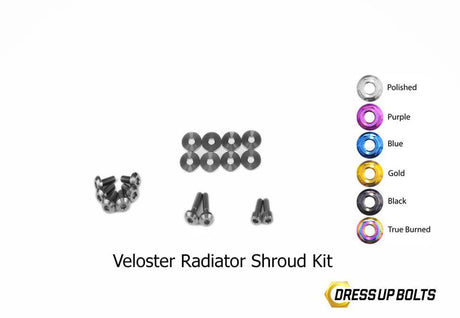 Titanium Hardware Radiator Shroud Kit - Hyundai Veloster (2012-2018)