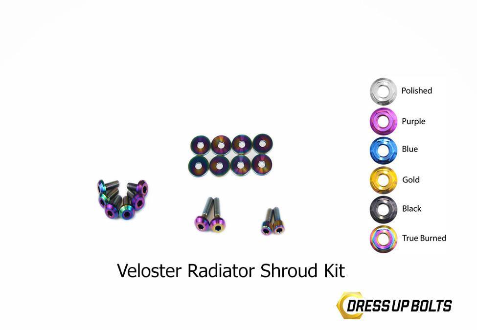 Titanium Hardware Radiator Shroud Kit - Hyundai Veloster (2012-2018)
