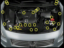 ZSPEC "Stage 2" Dress Up Bolts® Fastener Kit for '09-14 Nissan Maxima (A35), Titanium