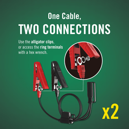 2-Bank, 1.25 AMP 12V Battery Charger