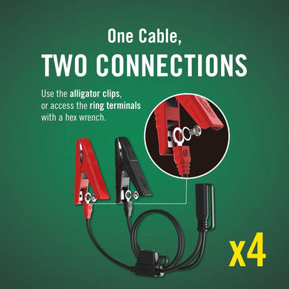 4-Bank, 1.25 AMP 12V Battery Charger