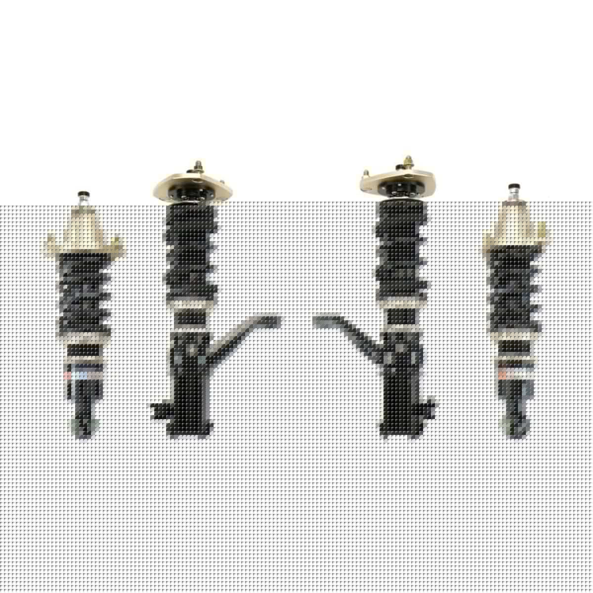 BC Racing BR Series Coilovers (Extreme Low) for 2002-2006 Acura RSX (DC5)