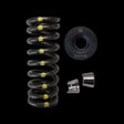 Brian Crower Dual Spring / Steel Retainer / Seat Kit | 1995 - 2003 Acura NSX (BC0090S)