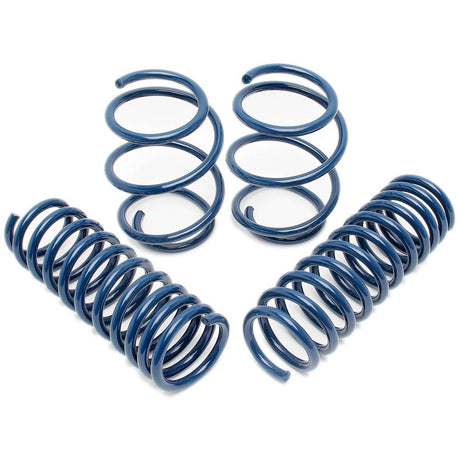 Dinan Performance Spring Set | 1995 BMW M3 E36 (D100-0468)