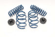 Dinan Performance Spring Set | Multiple BMW Fitments (D100-0918)