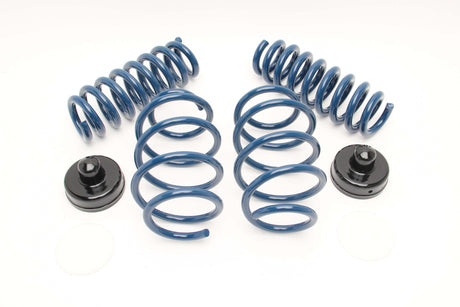 Dinan Performance Spring Set | Multiple BMW Fitments (D100-0918)