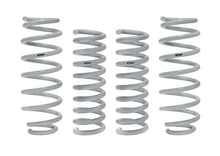Eibach Drag-Launch Lowering Springs for 2011-2014 Chrysler 300C RWD