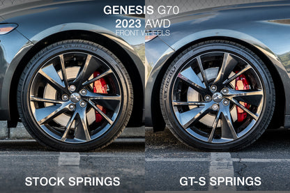 2019-2026 Genesis G70 GT-S Lowering Springs