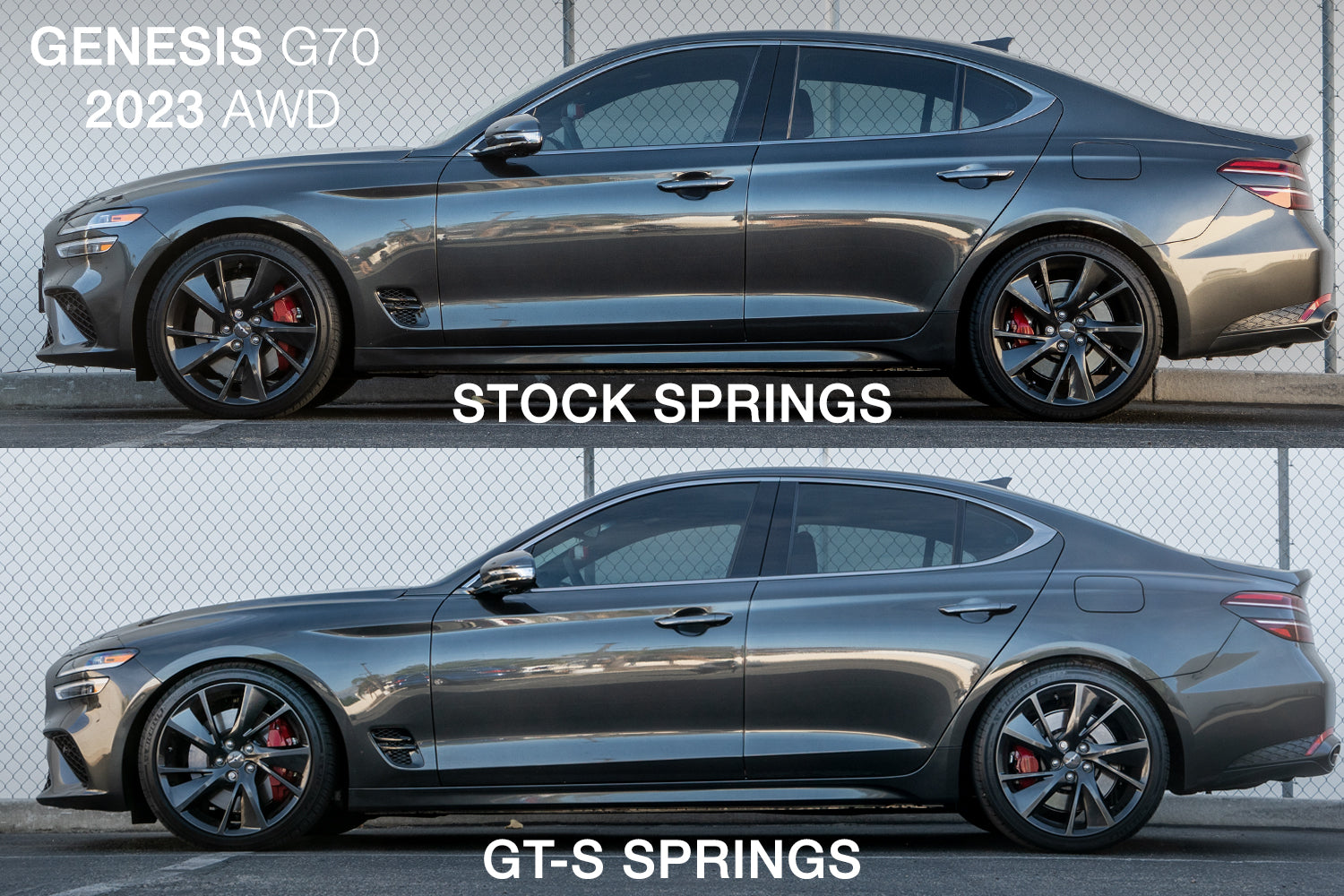 2019-2026 Genesis G70 GT-S Lowering Springs
