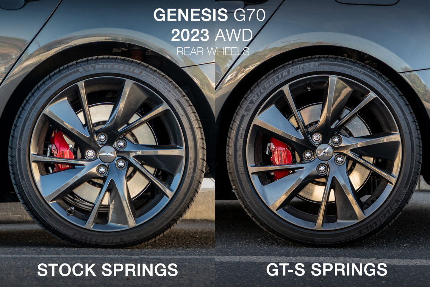 2019-2026 Genesis G70 GT-S Lowering Springs