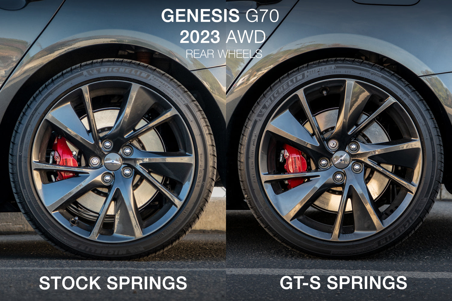 2019-2026 Genesis G70 GT-S Lowering Springs