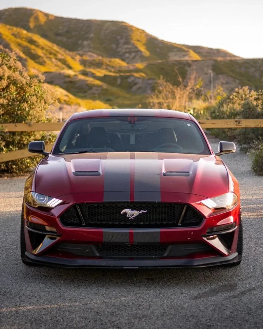 Exterior Carbon Fiber Mirror Covers -US or EU Spec for Mustang 2015-2023