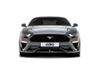 Ford Mustang Carbon Fiber Front Lip