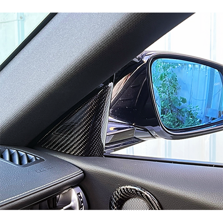 Rexpeed Carbon Fiber Interior Door/Mirror Trim | 2020-2023 Toyota GR Supra (TS99)