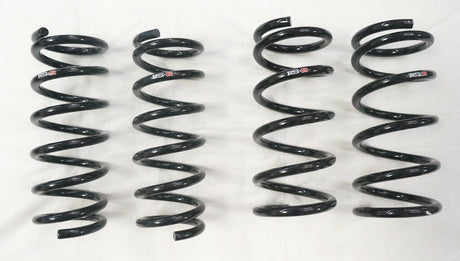 RS-R Down Sus Lowering Springs - 2003-2009 Nissan 350Z (Z33)