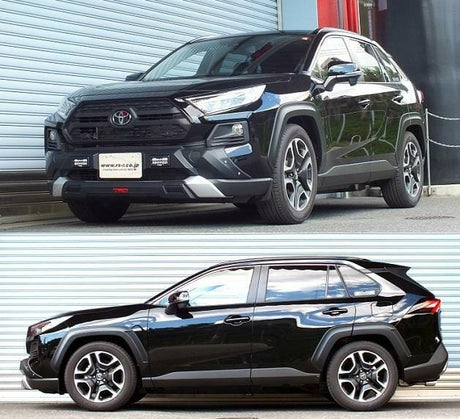 RS-R Down Sus Lowering Springs - 2019+ Toyota RAV4 AWD