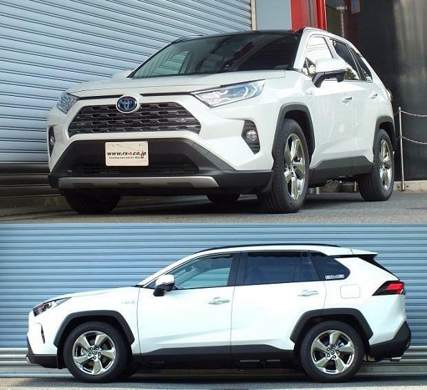 RS-R Down Sus Lowering Springs - 2019+ Toyota RAV4 AWD