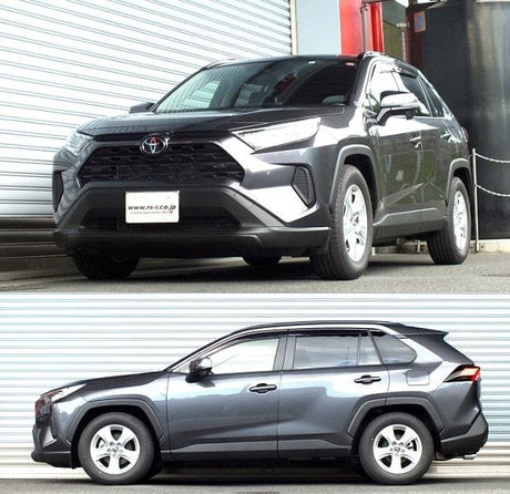 RS-R Down Sus Lowering Springs - 2019+ Toyota RAV4 FWD